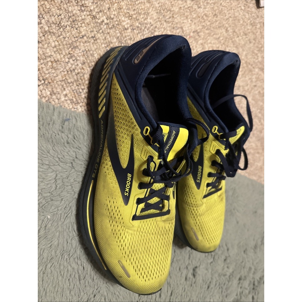 Size 11- Brooks Adrenaline GTS 22 Nightlife Titan